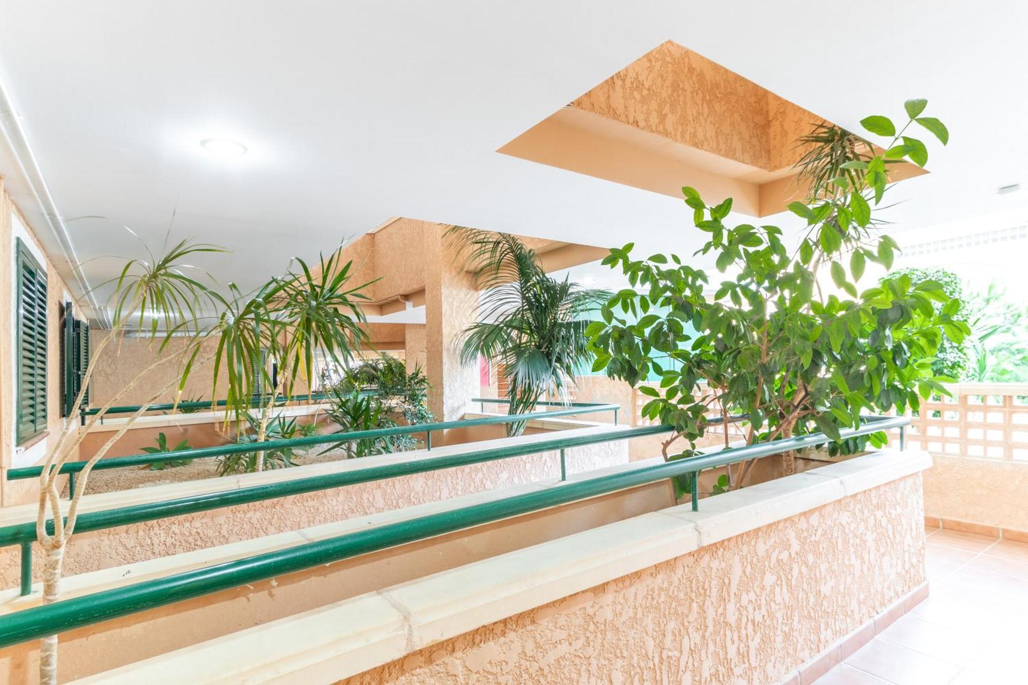 Magnificent Penthouse Alteamascaratアパートメント エクステリア 写真